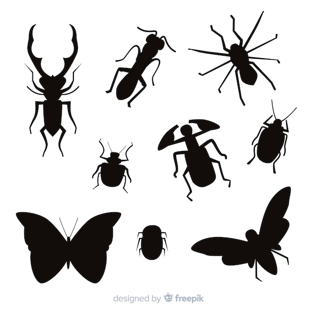 Коллекция силуэтов плоских насекомых