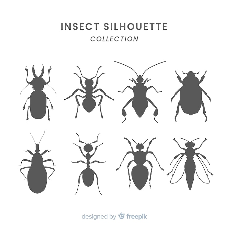 Free Vector flat insect silhouettes collection
