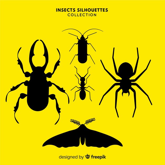 Flat insect silhouettes collection