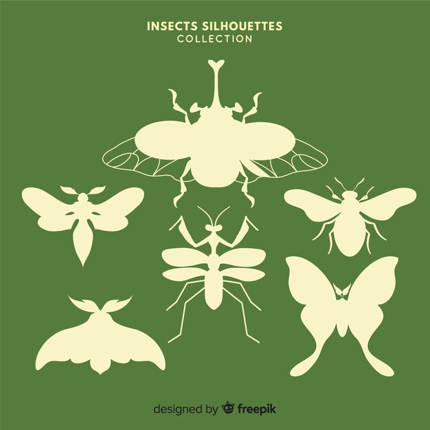 Flat insect silhouettes collection