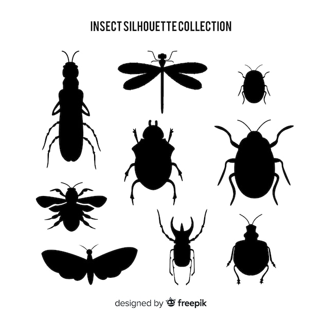 플랫 곤충 실루엣 컬렉션