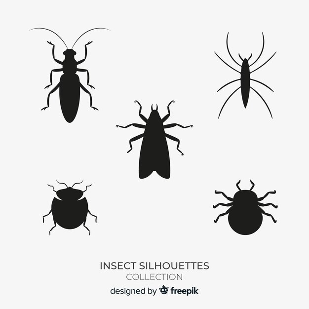 Flat insect silhouettes collection