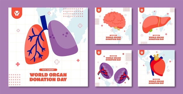 世界の臓器提供の日のフラットなInstagramの投稿コレクション