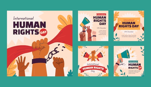 Vettore gratuito raccolta piatta di post su instagram per la giornata dei diritti umani