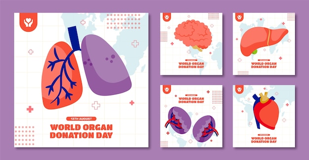 Free vector flat instagram posts collection for world organ donation day