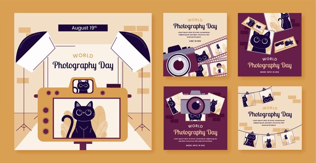 Flat instagram posts collection for world photography day