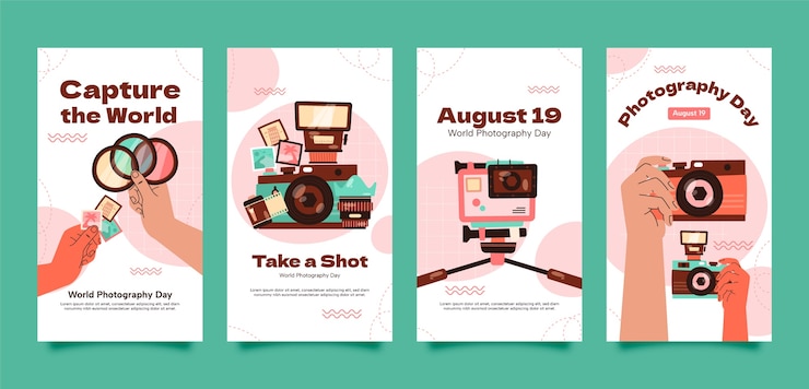 Free Vector flat instagram stories collection for world photography day celebration