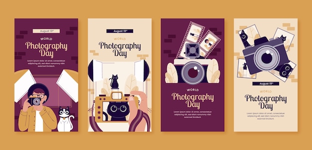 Free vector flat instagram stories collection for world photography day