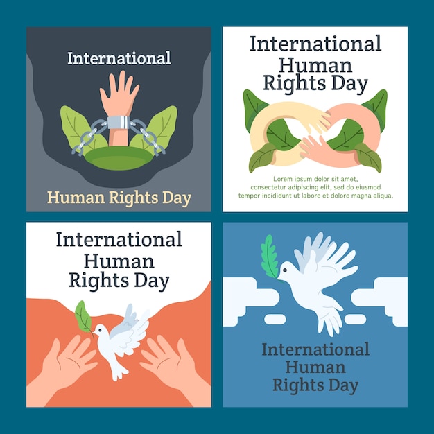 Free vector flat international human rights day instagram posts collection