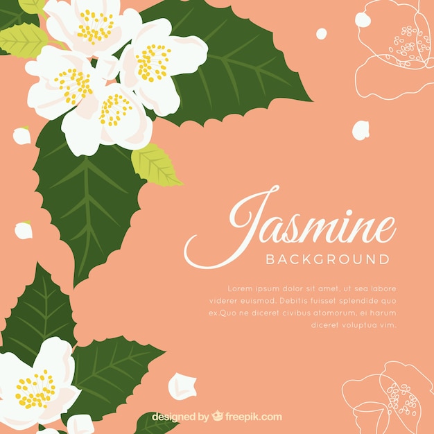 Free vector flat jasmine background with cute style