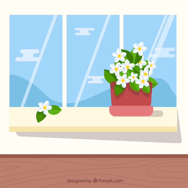 Flat jasmine flowers in a flowerpot