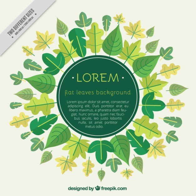 Free Vector flat leaves background