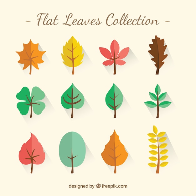 Free vector flat leaves collection