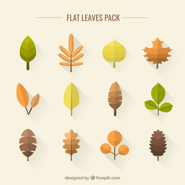 Бесплатное векторное изображение Плоские листья пакет