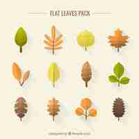 Free vector flat leaves pack