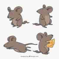 Free vector flat mice collection with different poses