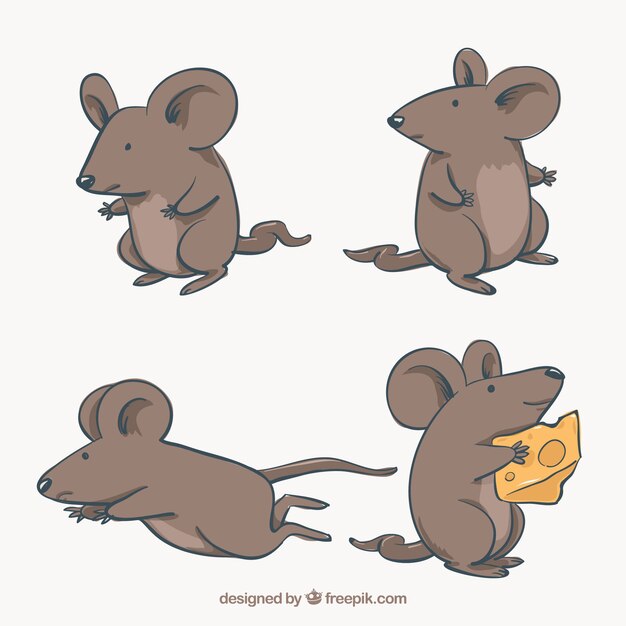 Flat mice collection with different poses