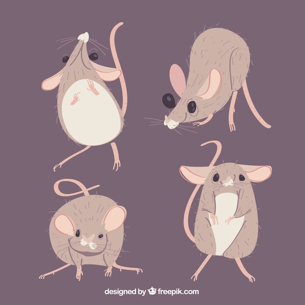 Бесплатное векторное изображение Сбор плоских мышей с разными позами