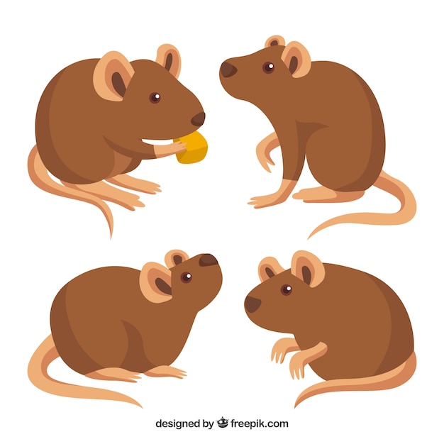 Free vector flat mice collection with different poses