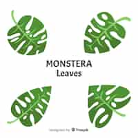 Free vector flat monstera leaves