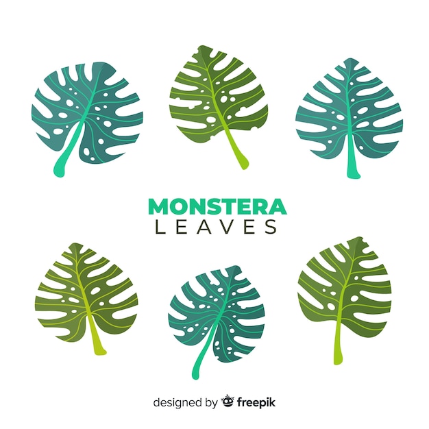 Free vector flat monstera leaves