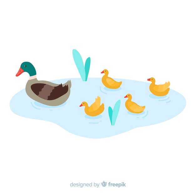 Flat mother duck and ducklings in puddle 