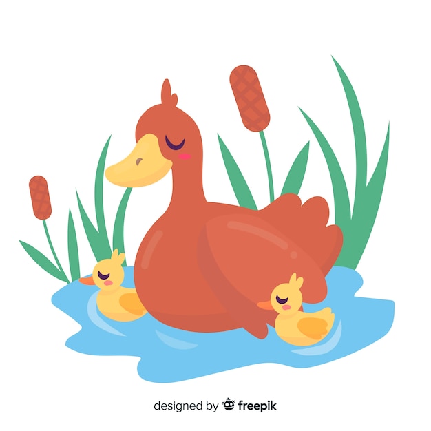 평평한 어머니 오리와 물에 ducklings