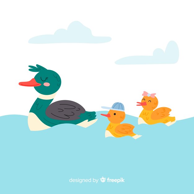 Flat mother duck in the water