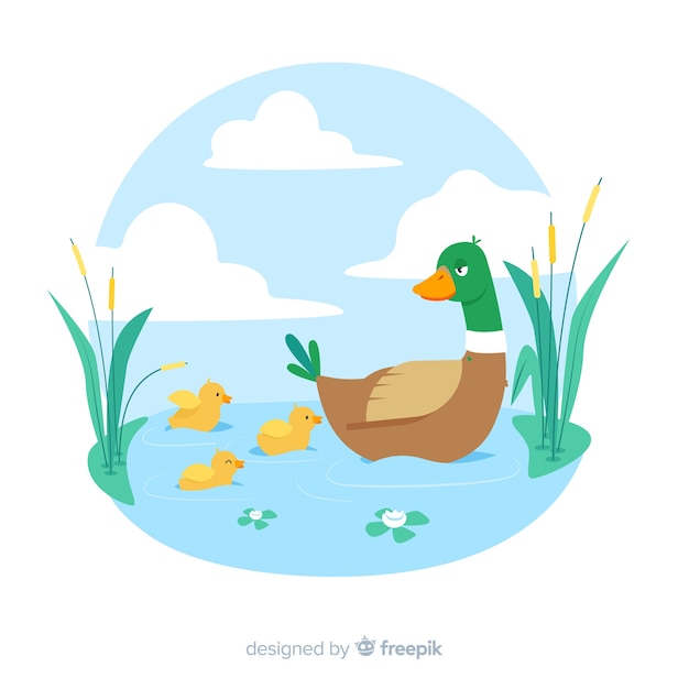 Flat mother duck with ducklings in water