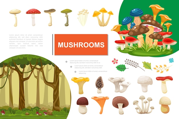 Плоские грибы красочная композиция