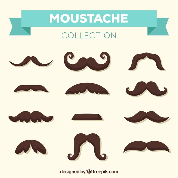 Flat mustache collection of 12