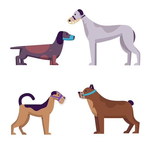 Flat muzzled animal illustrated set