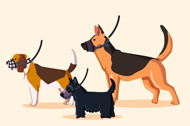 Flat muzzled animal illustrated set