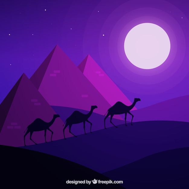 Flat night landscape with egyptian pyramids and caravan of camels