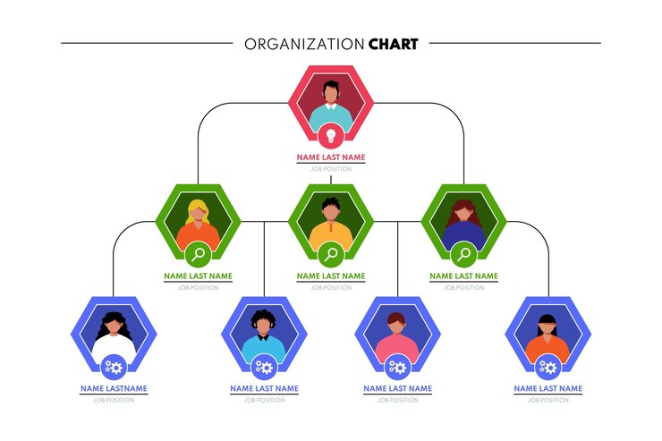Free Vector flat organizational chart infographic