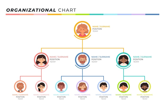 Free vector flat organizational chart