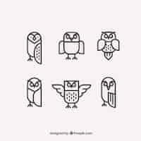 Free vector flat owl collection