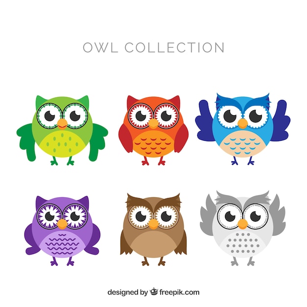 Free vector flat owl collection