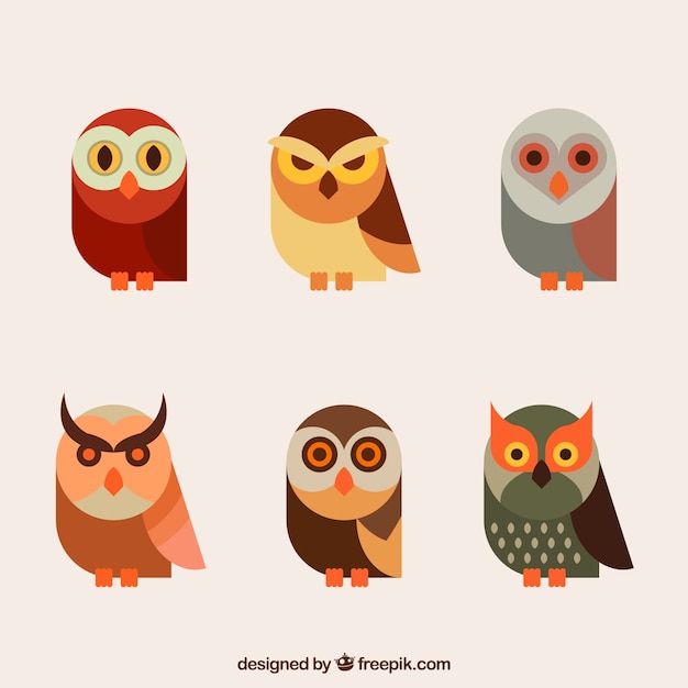 Free Vector flat owl collection