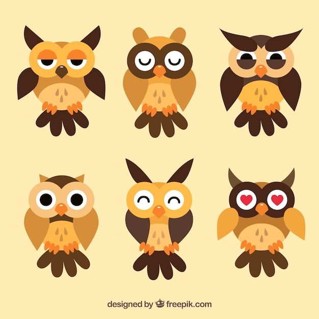 Free vector flat owl collection