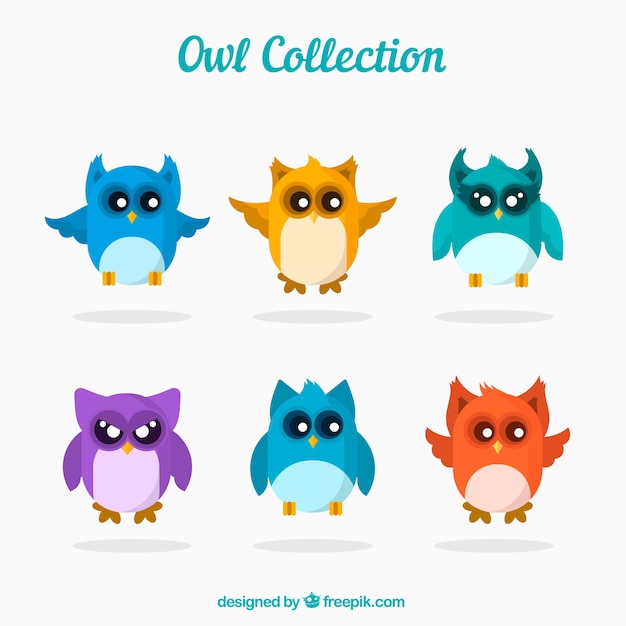 Flat owl collection