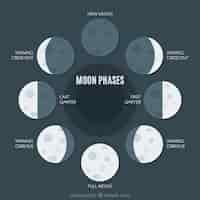 Free vector flat pack of great moon phases