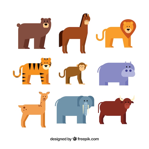 Flat pack of nine different animals