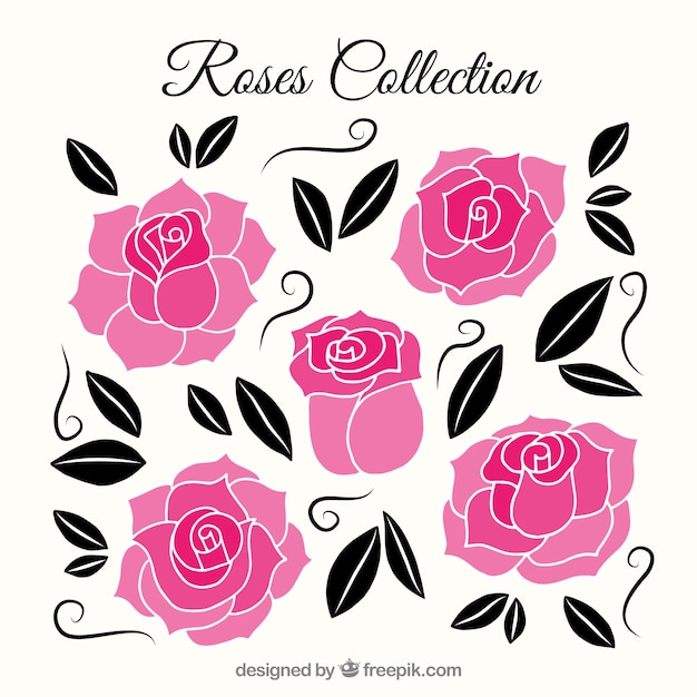 Free vector flat pack of roses in pink tones