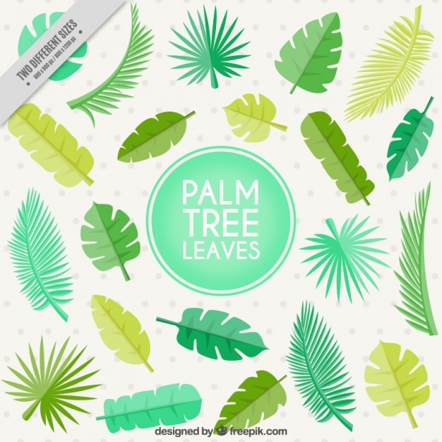 Flat palm tree leaves background