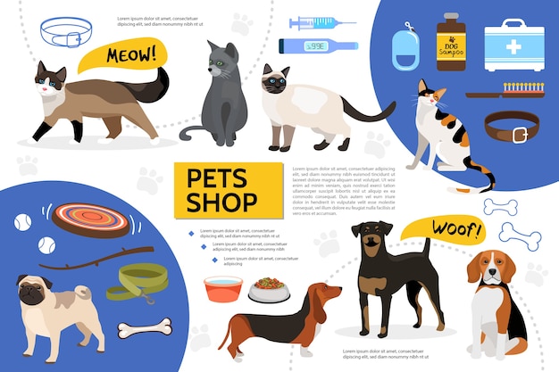 Modello di infografica piatto negozio di animali