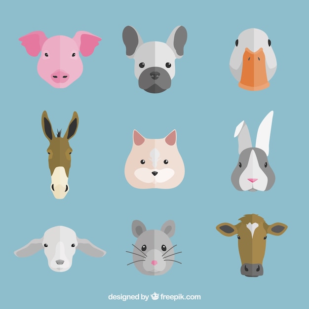 Flat selection of decorative animals' faces