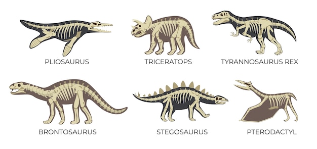 Бесплатное векторное изображение Плоский набор древних скелетов динозавров