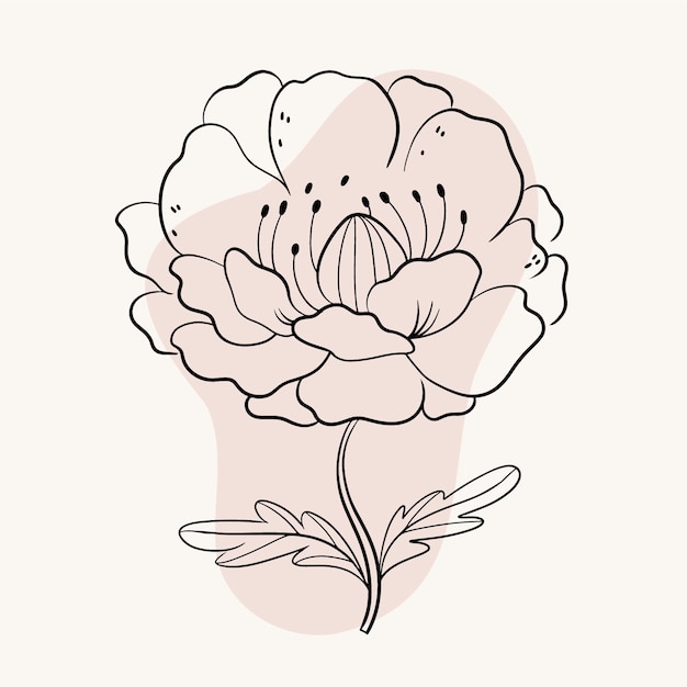 Vettore gratuito illustrazione di contorno fiore semplice piatto