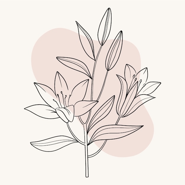 Плоская простая иллюстрация контура цветка